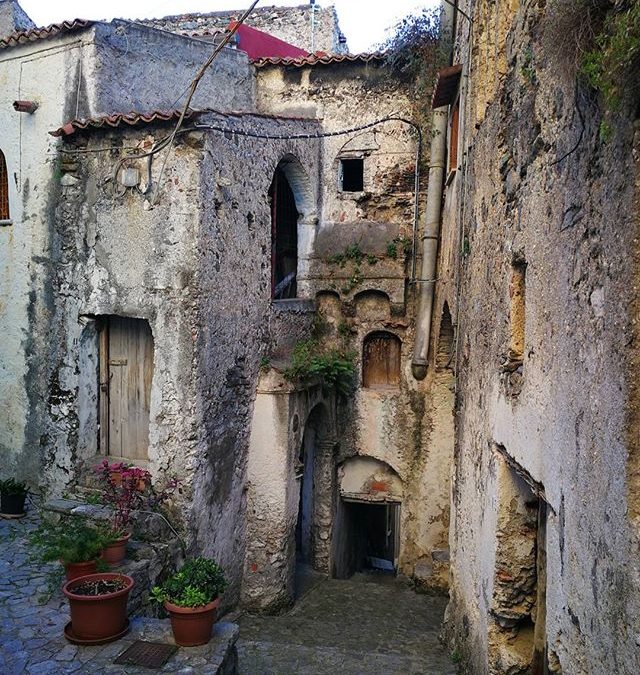 Instagram Image