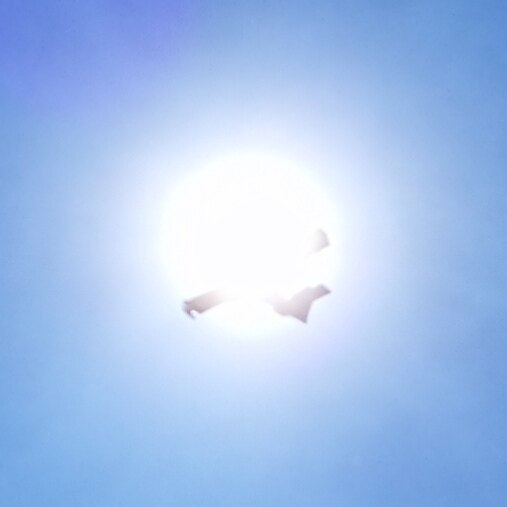 #canadair #sun